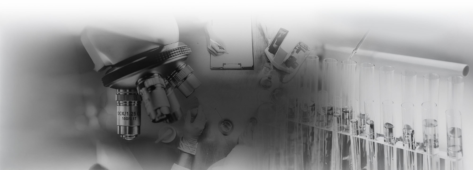 Advanced nutrition science laboratory with microscope and test tubes supporting research and innovation