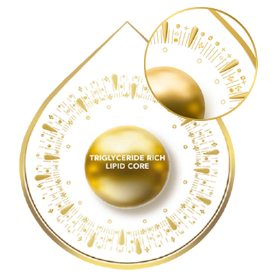 Triglyceride-rich lipid core illustration showing advanced milk fat nutrition