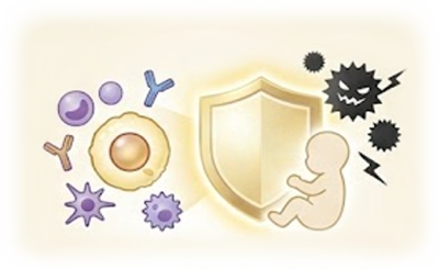 Protective shield supporting infant immune health and defense against environmental threats